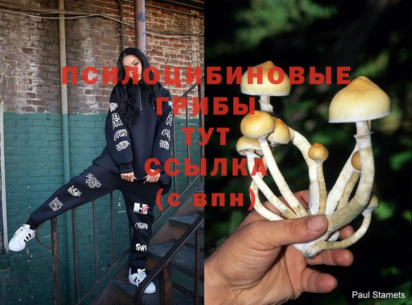 винт Михайловск