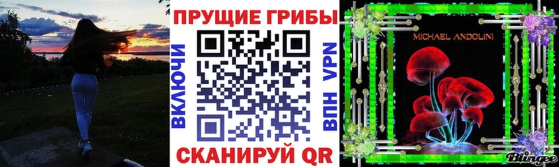 Галлюциногенные грибы прущие грибы  Гаджиево 